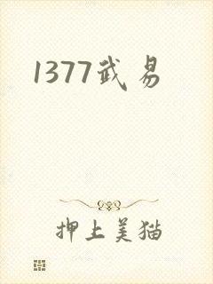 1377武易