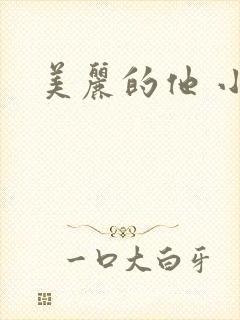 美丽的他 小说