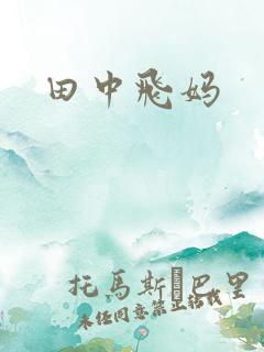 田中飞妈