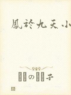 凤于九天小说