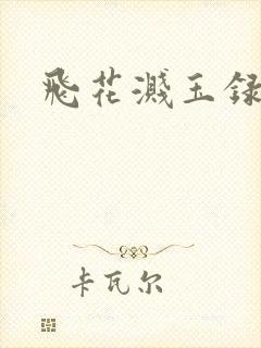 飞花溅玉录