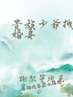 贵族少爷拽拽未婚妻