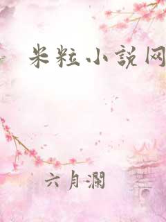 米粒小说网