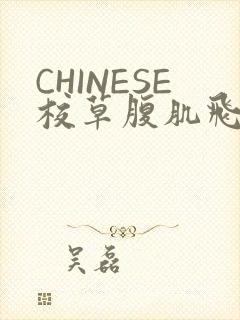 CHINESE校草腹肌飞机视频