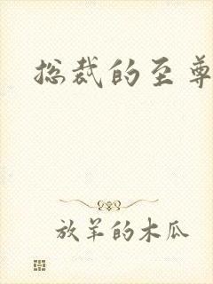 总裁的至尊前妻