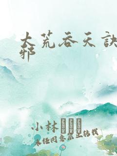 太荒吞天诀柳无邪
