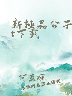 新极品公子txt下载