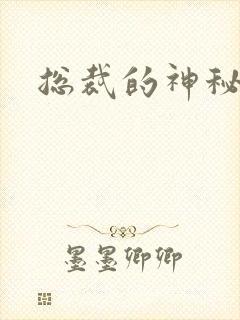 总裁的神秘情人