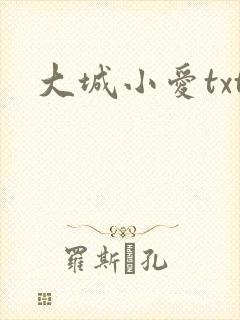 大城小爱txt