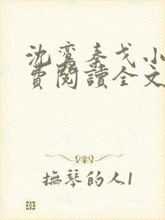 沈鸾秦戈小说免费阅读全文