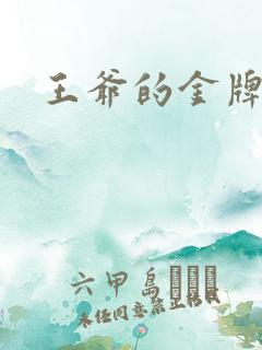 王爷的金牌暗卫