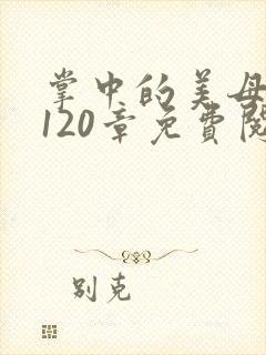 掌中的美母版主120章免费阅读