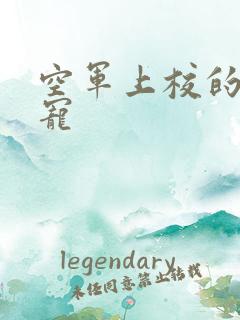 空军上校的邪魅宠