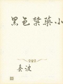 黑色禁药小说