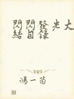 闪闪发光大团圆结目录