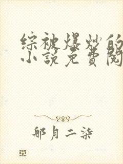 综被爆炒的日常小说免费阅读