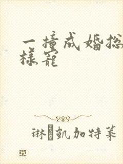 一撞成婚总裁花样宠