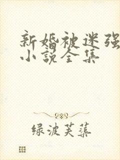 新婚被迷强系列小说全集