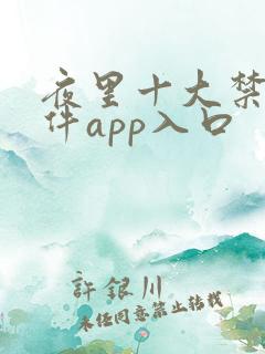 夜里十大禁用软件app入口