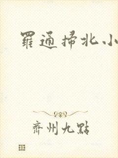 罗通扫北小说