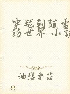 穿越到随处做 的世界 小说