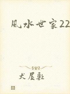 风水世家229