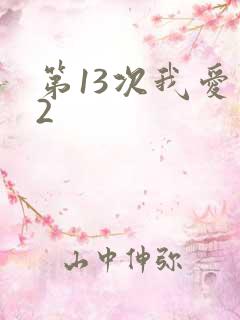 第13次我爱你2