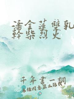 潘金莲双乳晃动干柴烈火