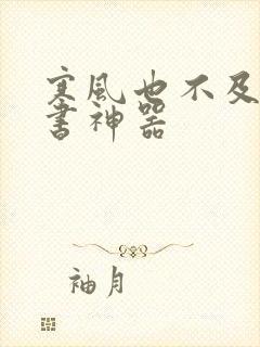 寒风也不及她追书神器