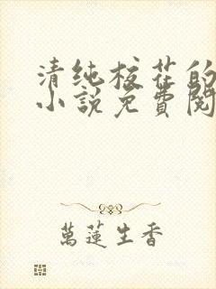 清纯校花的秘密小说免费阅读全文