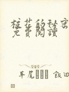 校花的秘密小说免费阅读