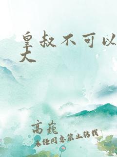 皇叔不可以 太大