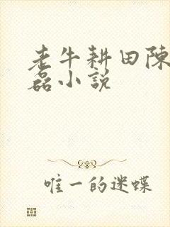 老牛耕田陈雪王磊小说