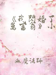 《我闪婚了个亿万富翁》小说