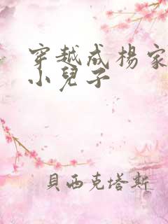 穿越成杨家将最小儿子