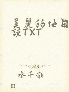 美丽的他日剧小说TXT
