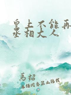 皇上不能再进了丞相大人