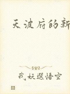 天波府的新姑爷