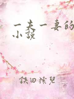 一夫一妻的玄幻小说