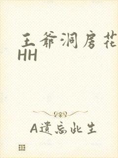 王爷洞房花烛夜HH