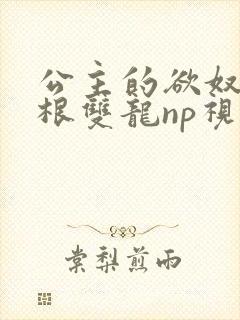 公主的欲奴h四根双龙np视频