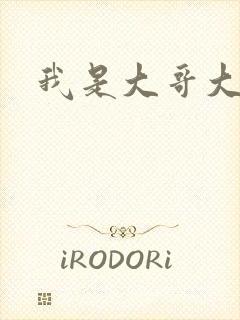 我是大哥大下载