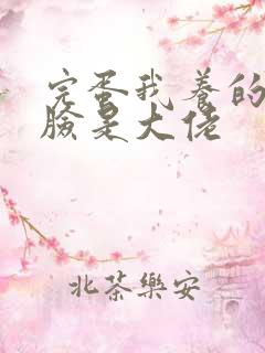 完蛋我养的小白脸是大佬