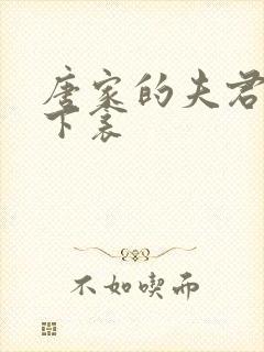 唐家的夫君们帘下衾