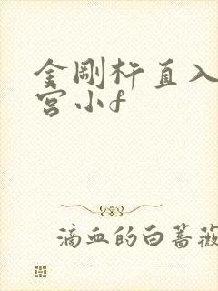 金刚杵直入莲花宫小f