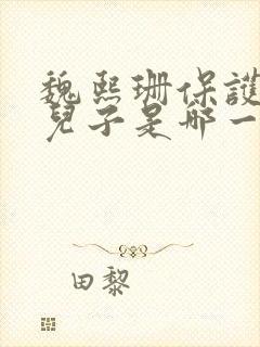 魏熙珊保护萧峥儿子是哪一集