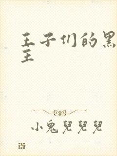 王子们的黑道公主