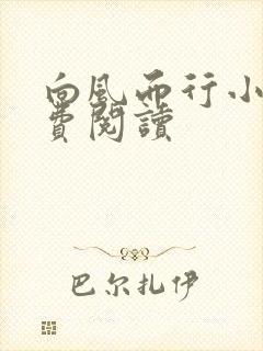 向风而行小说免费阅读