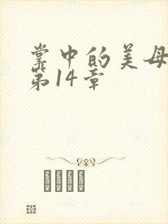 掌中的美母版主第14章