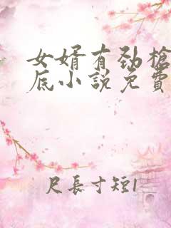 女婿有劲枪枪到底小说免费阅读